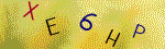 The code.