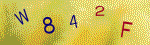The code.