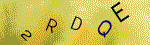 The code.